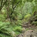 El Cubo de La Galga, La Palma