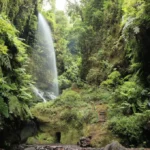 Cascada de Los Tilos, La Palma